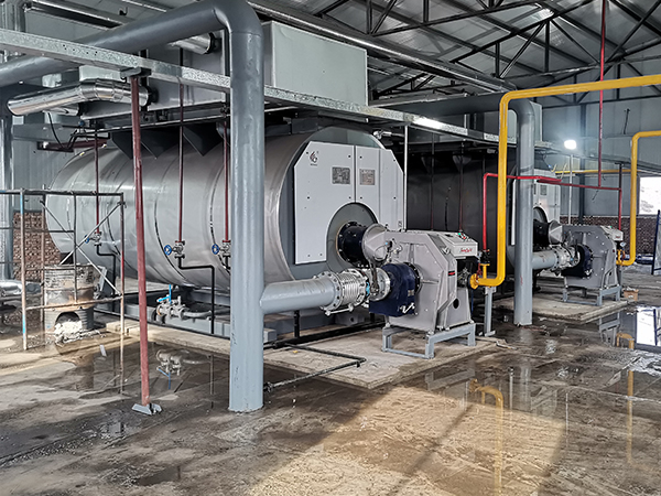   Price situation of 6-ton gas steam boiler